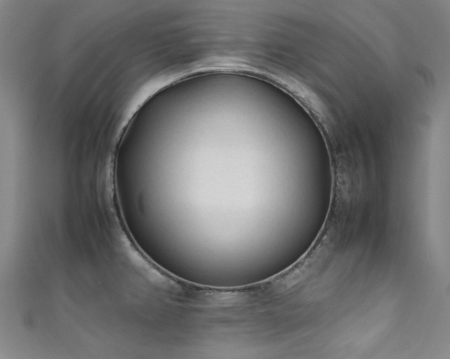 X0000111601382200907161544