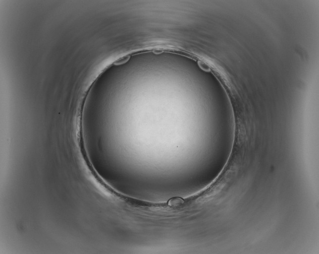 X0000111601383200907161544