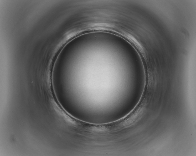X0000111601384200907161544