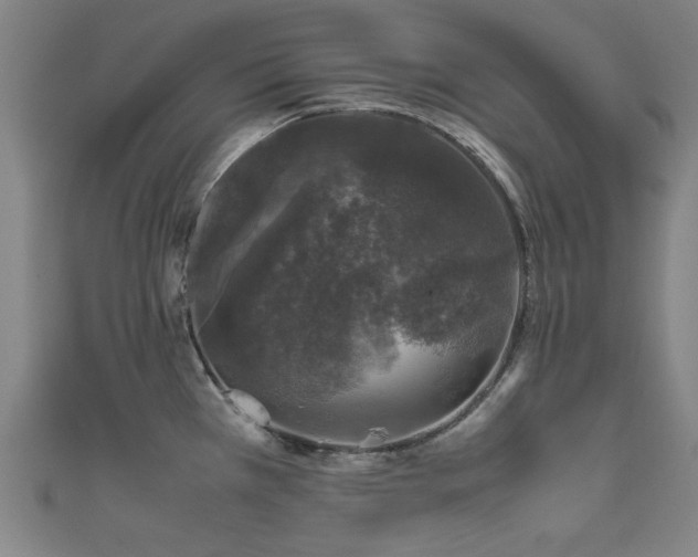 X0000111601385200907161544