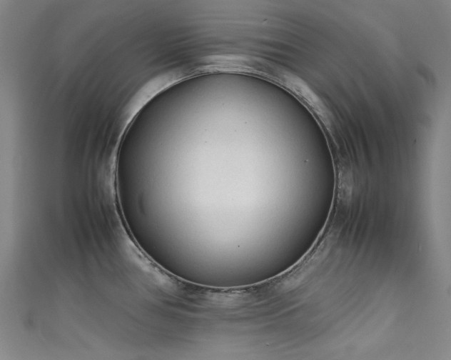 X0000111601386200907161544