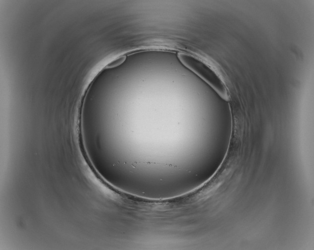 X0000111601387200907161544