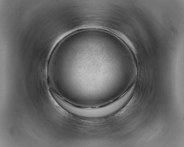 X0000111601388200907161544