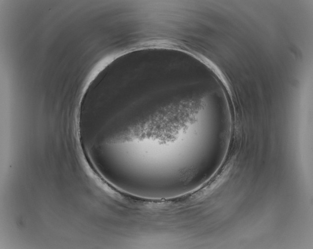 X0000111601389200907161544