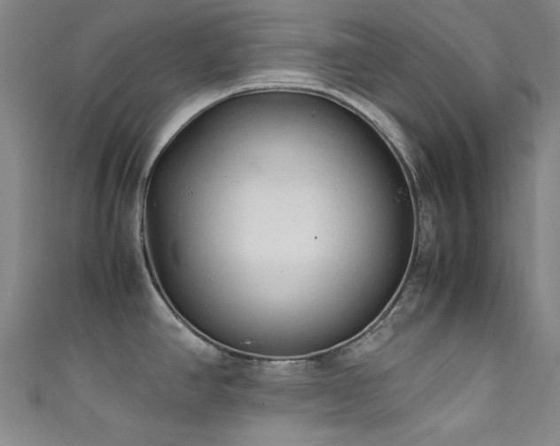 X0000111601390200907161544