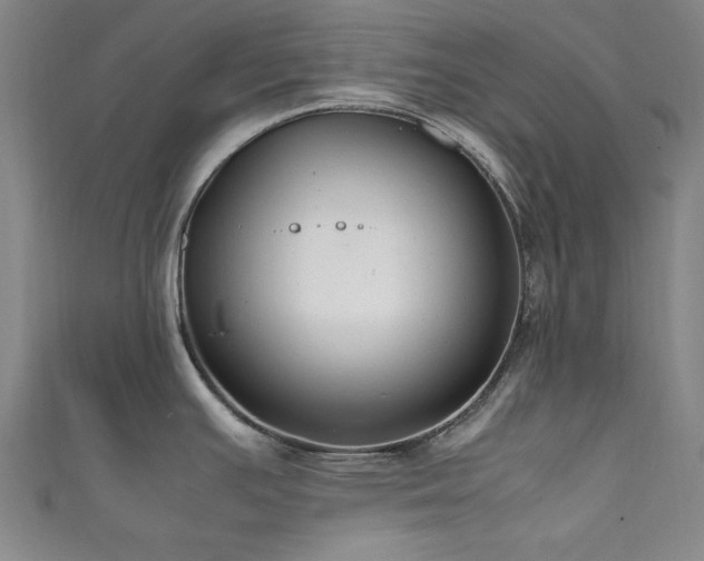X0000111601391200907161544