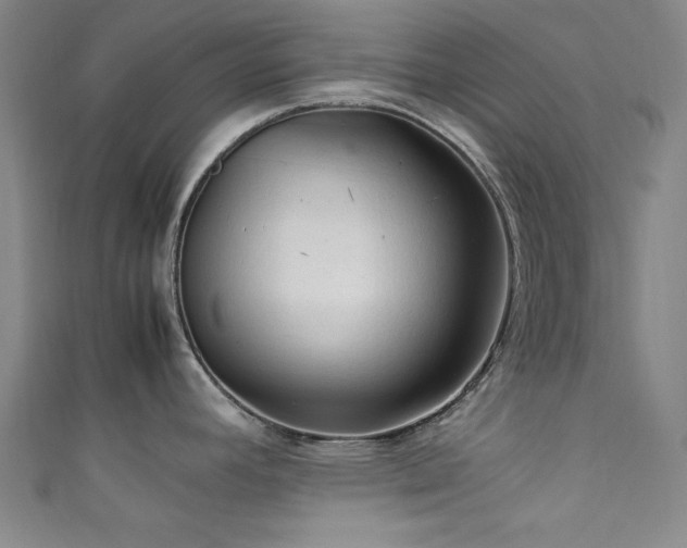 X0000111601392200907161544