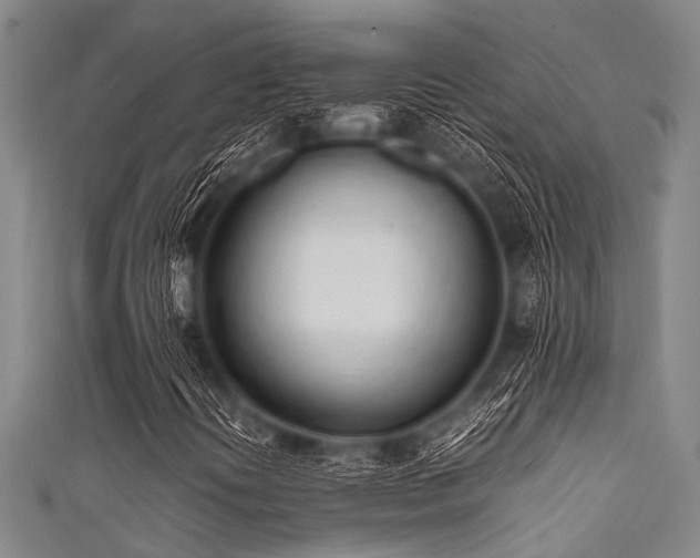 X0000111601394200907161543