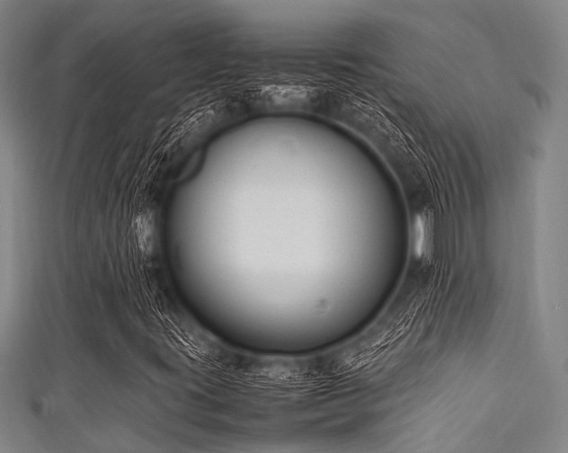 X0000111601395200907161543