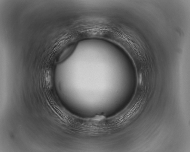X0000111601396200907161543