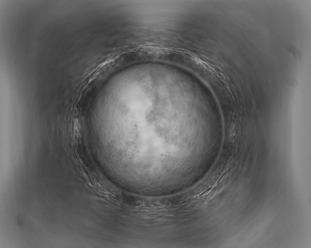 X0000111601397200907161543