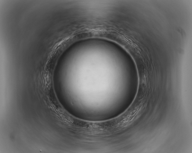 X0000111601398200907161543