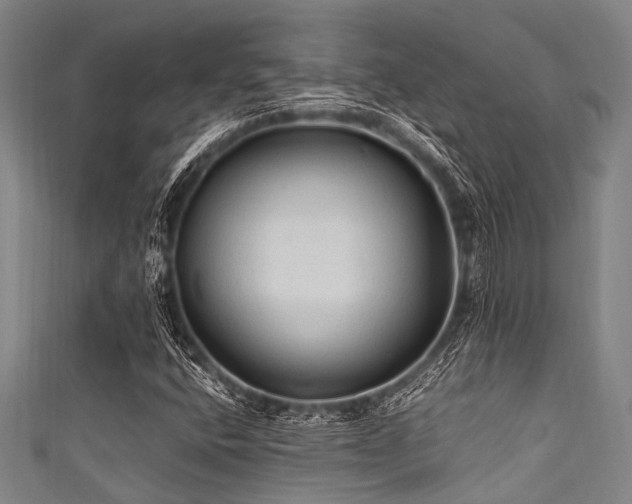 X0000111601400200907161543