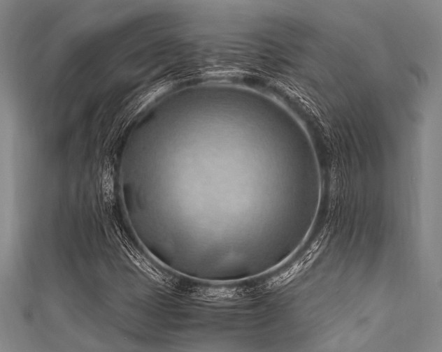 X0000111601401200907161543