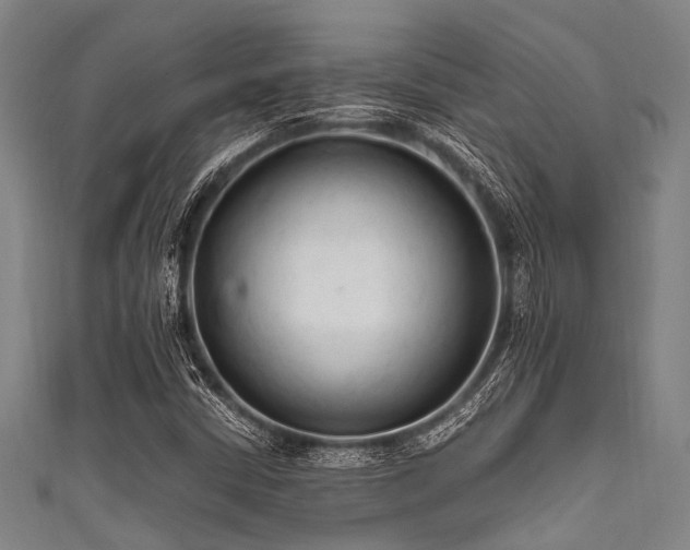 X0000111601402200907161543