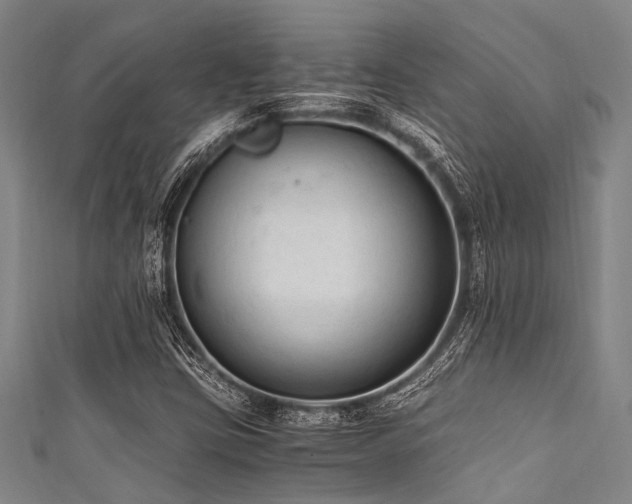 X0000111601403200907161543