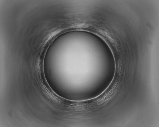 X0000111601404200907161543