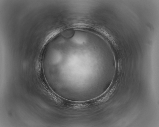 X0000111601405200907161543