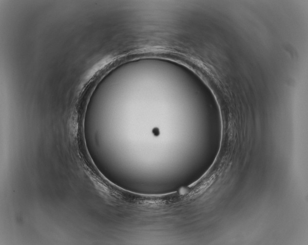 X0000111601406200907161544