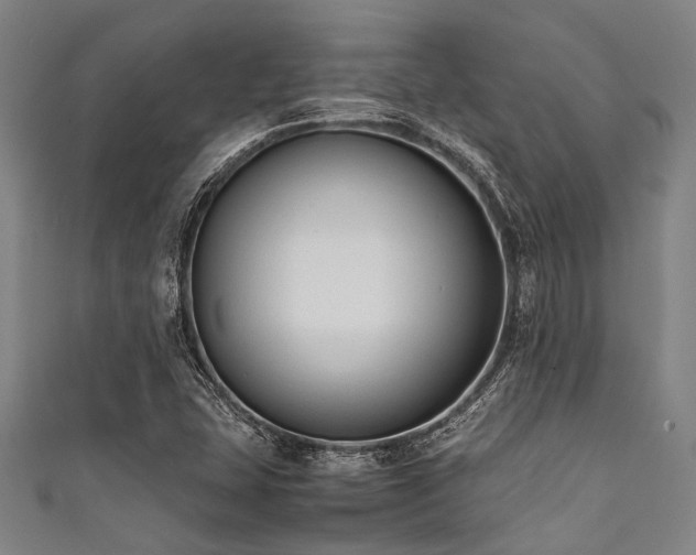 X0000111601407200907161544