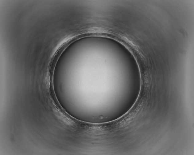 X0000111601408200907161544