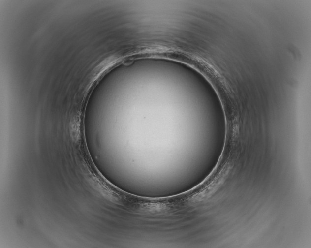 X0000111601409200907161544