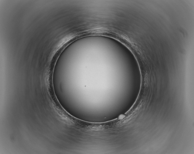 X0000111601410200907161544