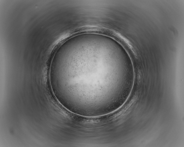 X0000111601411200907161544