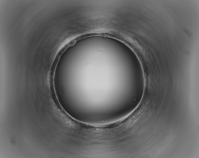 X0000111601412200907161544