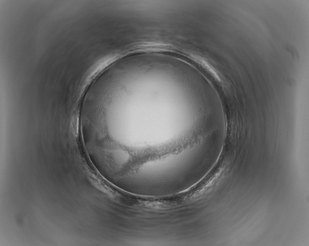 X0000111601413200907161544