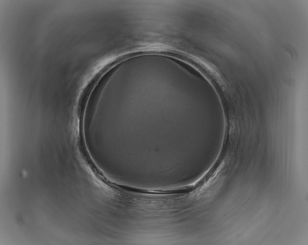 X0000111601414200907161544