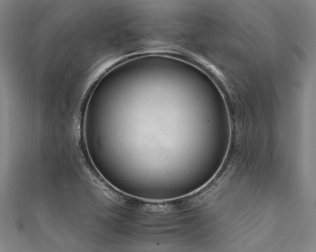 X0000111601415200907161544