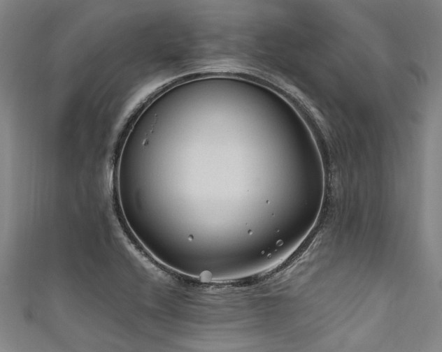 X0000111601416200907161544