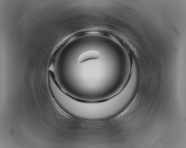X0000111601417200907161544
