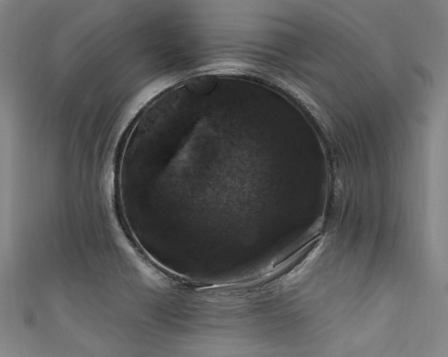 X0000111601418200907161544