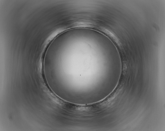 X0000111601419200907161544