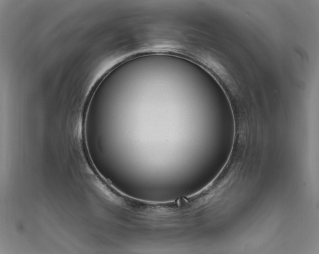 X0000111601420200907161544