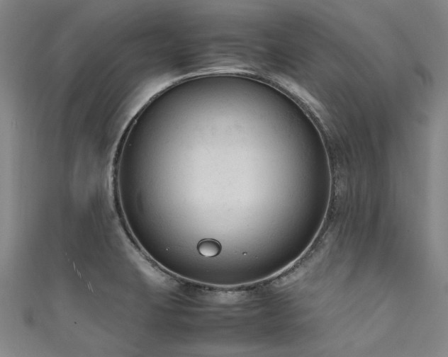 X0000111601423200907161544