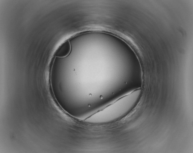 X0000111601424200907161544