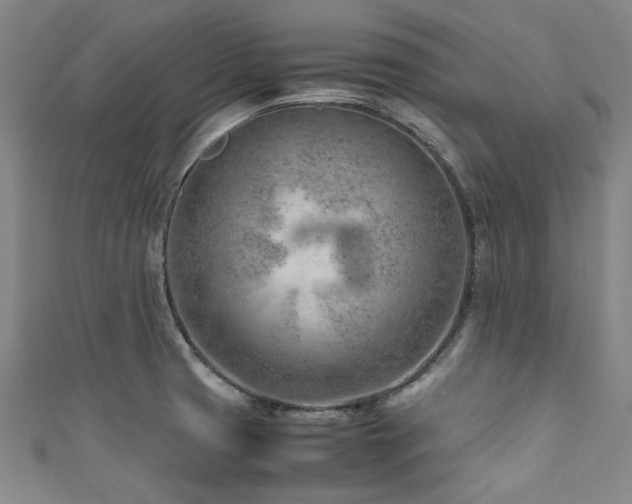 X0000111601425200907161544