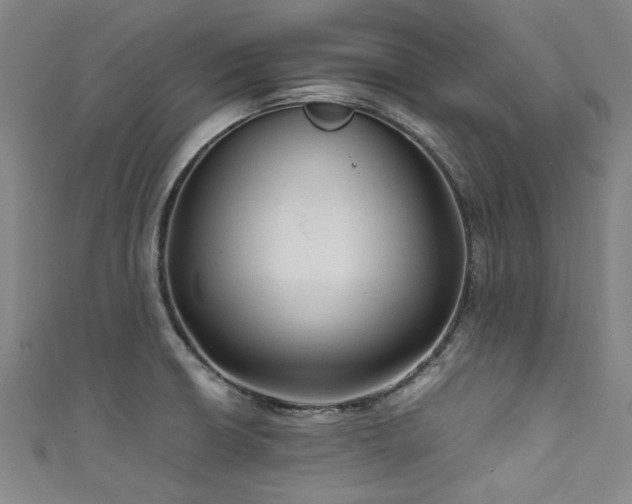 X0000111601426200907161544
