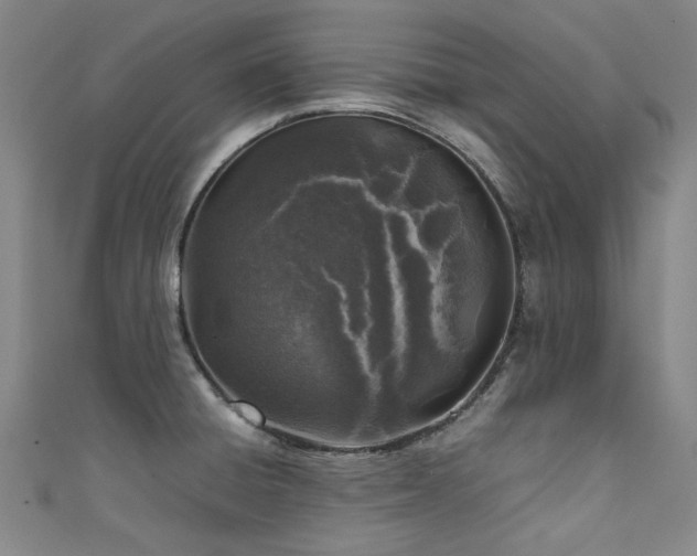 X0000111601428200907161544