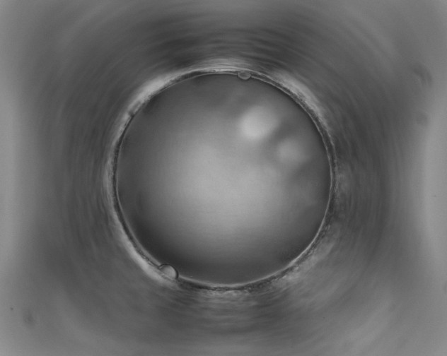 X0000111601429200907161544