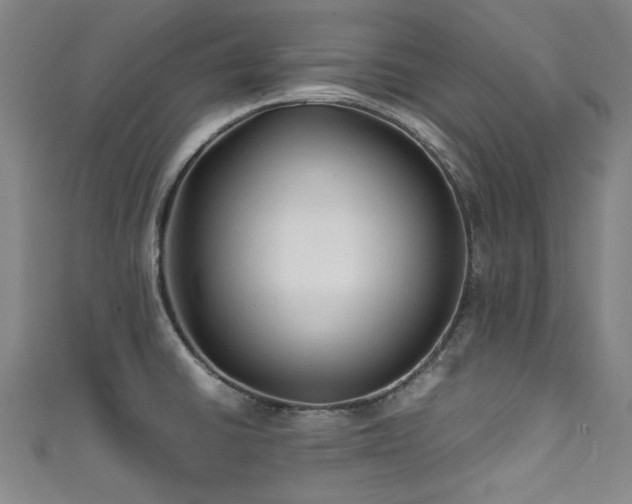 X0000111601430200907161544