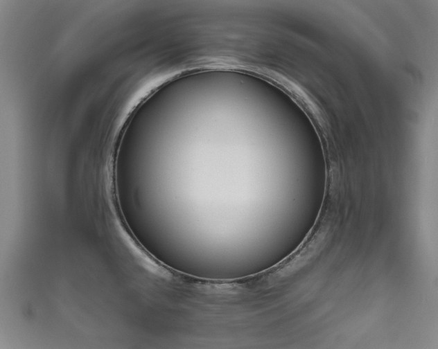 X0000111601432200907161544