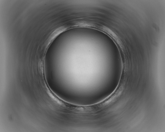 X0000111601433200907161544