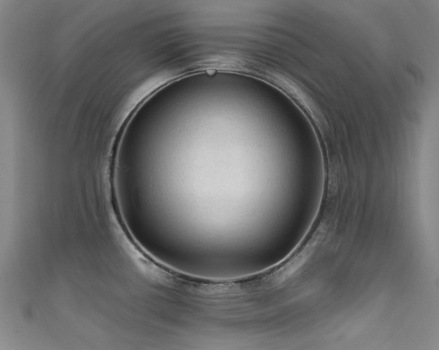 X0000111601434200907161544