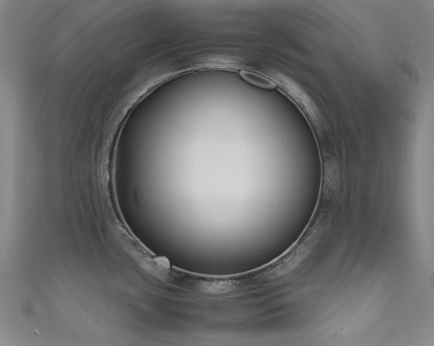X0000111601435200907161544