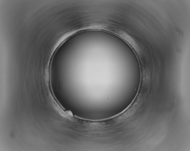 X0000111601436200907161544