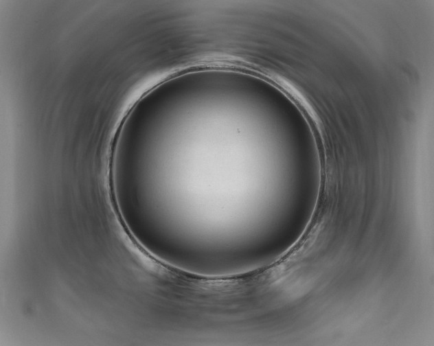 X0000111601437200907161544